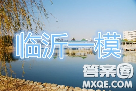2020年臨沂市高三一模語文試題及答案