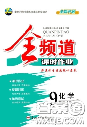 合肥大學(xué)出版社2020全頻道課時(shí)作業(yè)九年級(jí)化學(xué)下冊(cè)人教版答案
