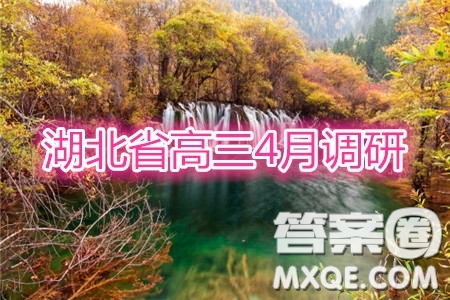 2020年湖北省高三4月線上調(diào)研考試語(yǔ)文答案