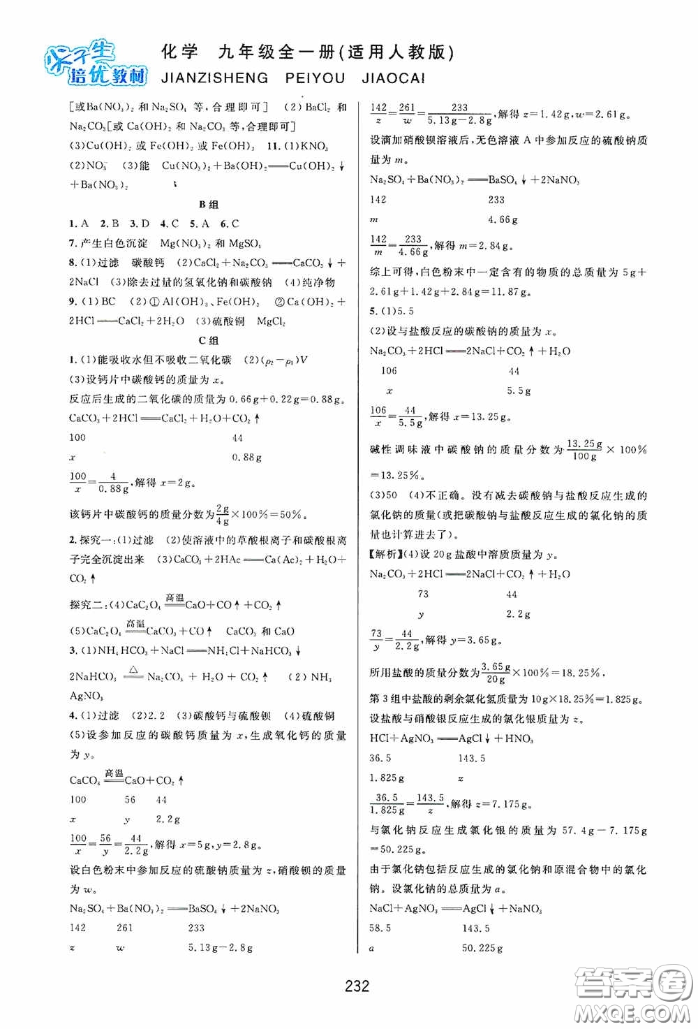 華東師范大學出版社2020尖子生培優(yōu)教材九年級化學全一冊人教版雙色版答案