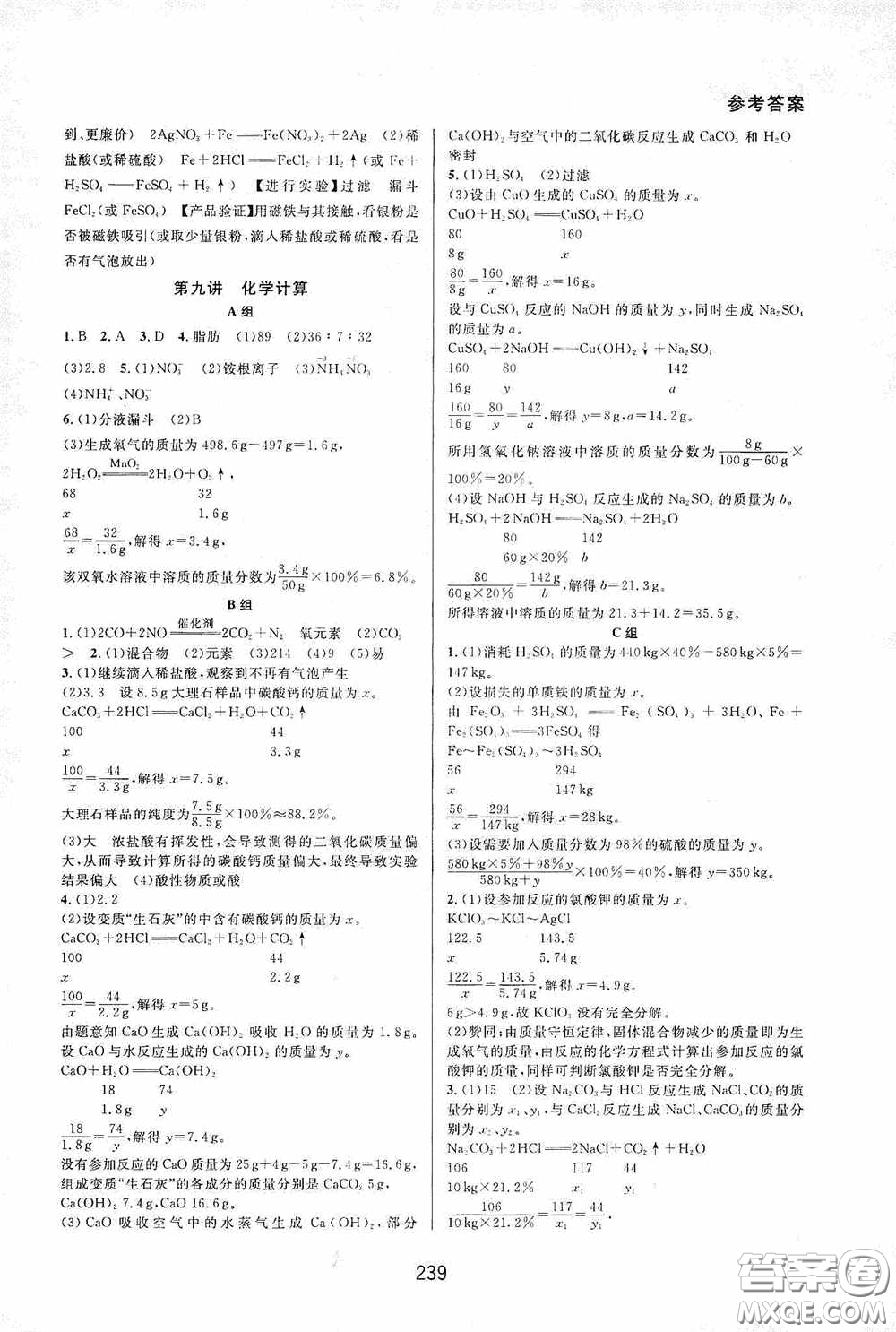 華東師范大學出版社2020尖子生培優(yōu)教材九年級化學全一冊人教版雙色版答案