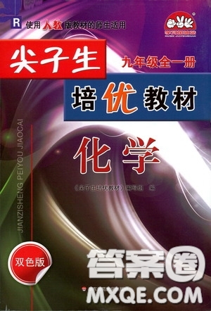 華東師范大學出版社2020尖子生培優(yōu)教材九年級化學全一冊人教版雙色版答案
