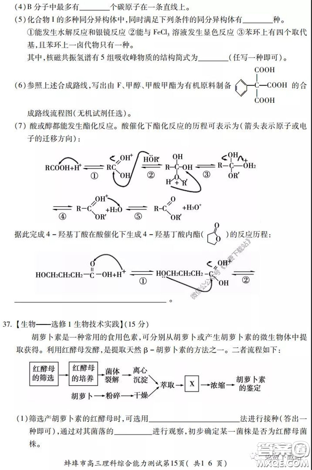 蚌埠市2020屆高三年級(jí)第三次教學(xué)質(zhì)量檢查考試?yán)砜凭C合試題及答案