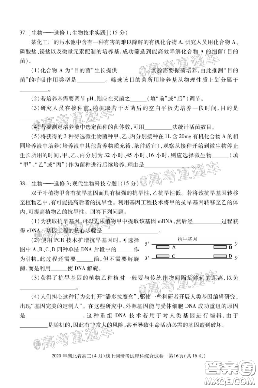 2020年湖北省高三4月線上調(diào)研考試理科科綜合試題及答案