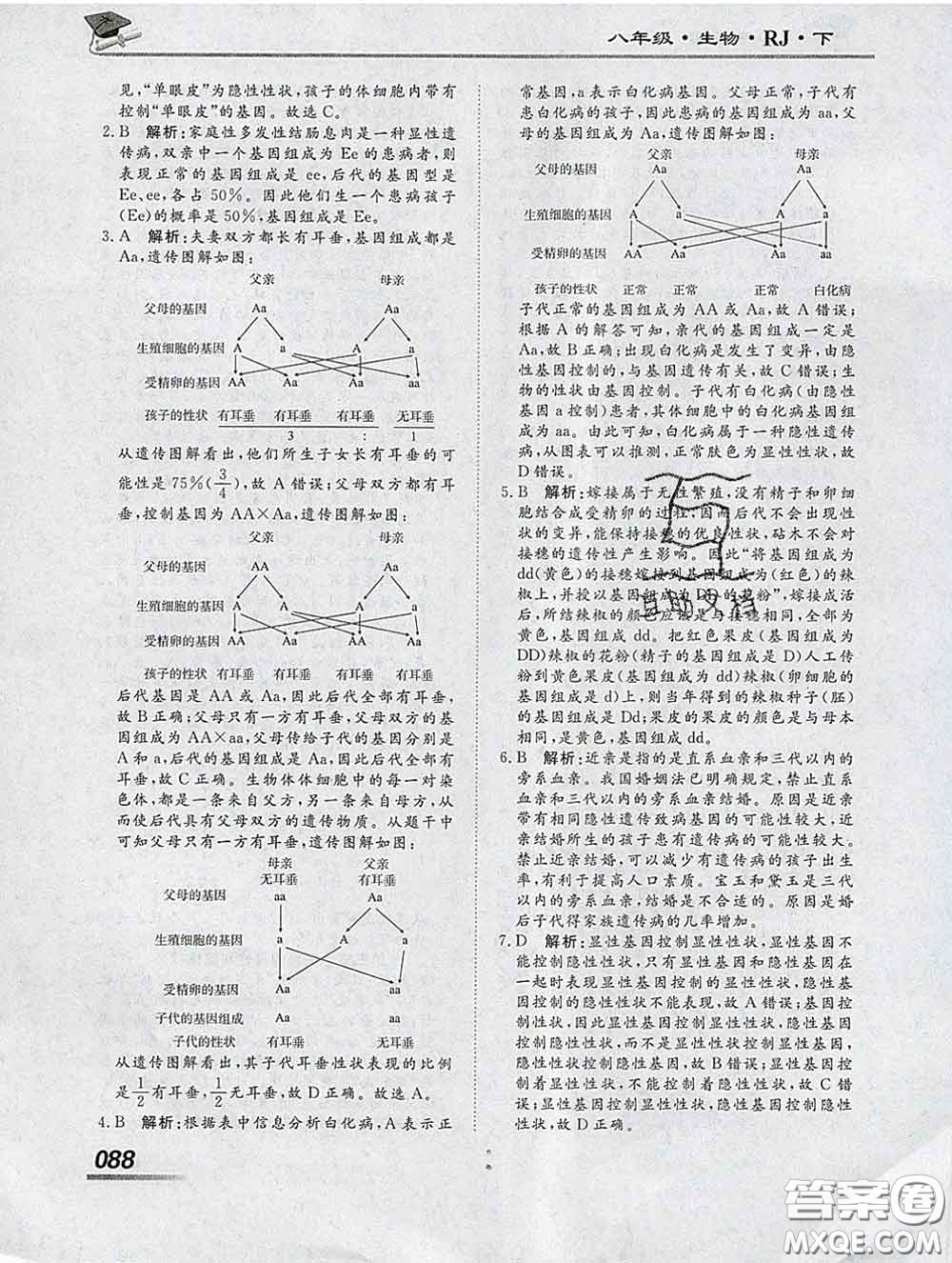 2020一川教育學(xué)考A+課堂檢測(cè)10分鐘八年級(jí)生物下冊(cè)人教版答案