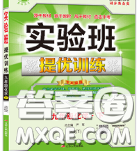 春雨教育2020春實(shí)驗(yàn)班提優(yōu)訓(xùn)練九年級(jí)化學(xué)下冊魯教版答案