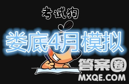 2020年婁底高三4月模擬考試語文試題及答案