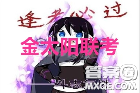 2020年湖南金太陽高三5月聯(lián)考文科數(shù)學(xué)試題及答案