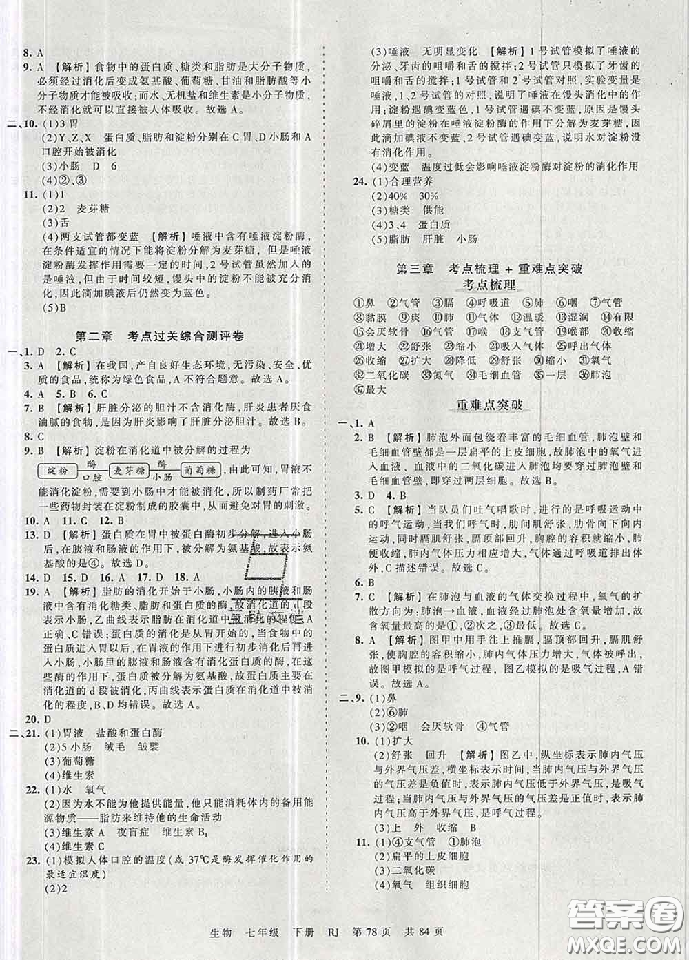 2020新版王朝霞考點梳理時習卷七年級生物下冊人教版答案