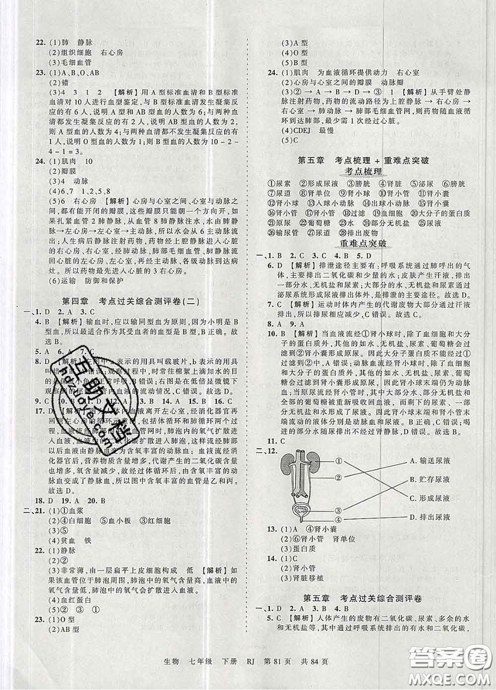 2020新版王朝霞考點梳理時習卷七年級生物下冊人教版答案