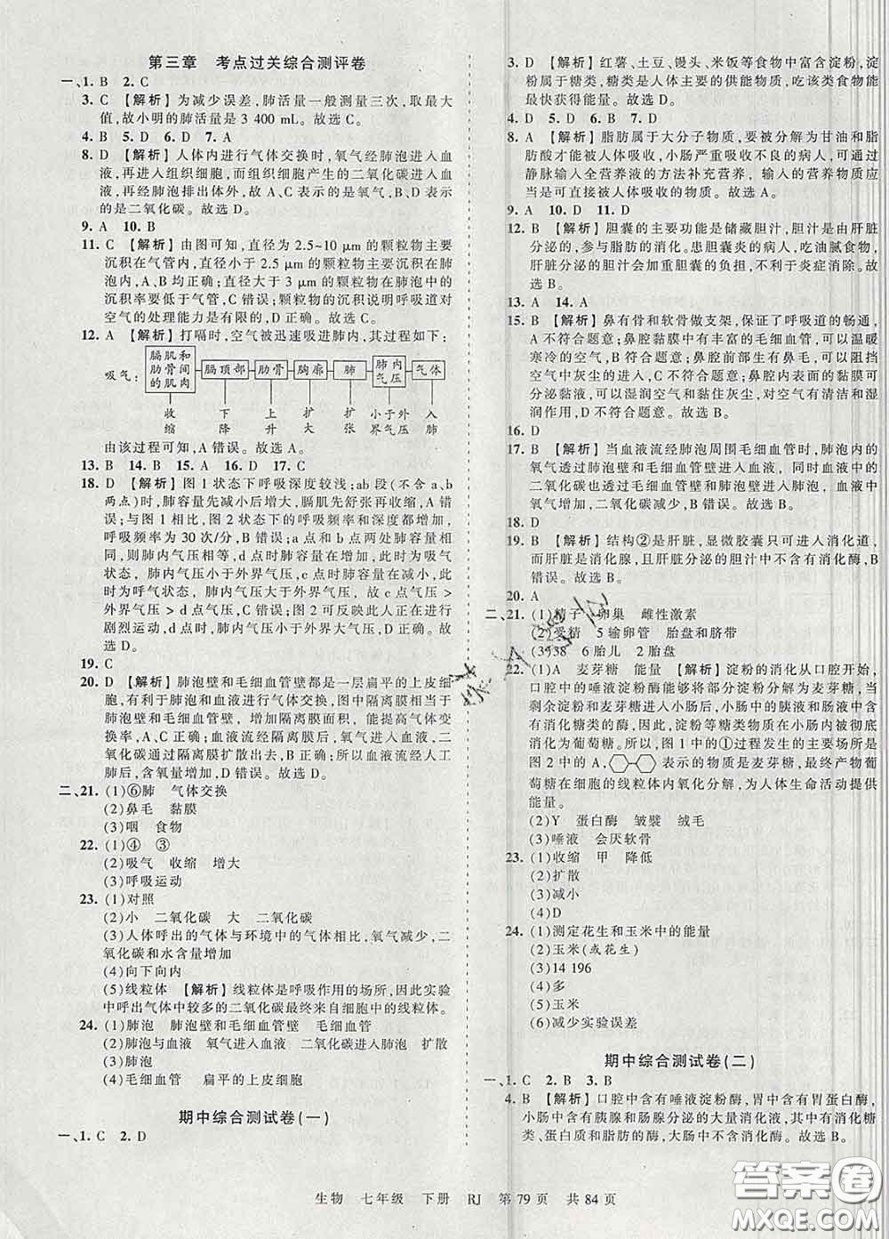 2020新版王朝霞考點梳理時習卷七年級生物下冊人教版答案