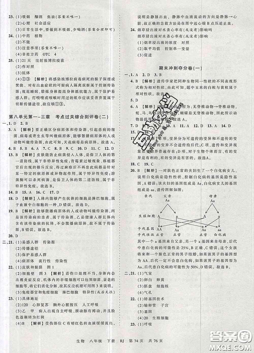 2020新版王朝霞考點梳理時習(xí)卷八年級生物下冊人教版答案