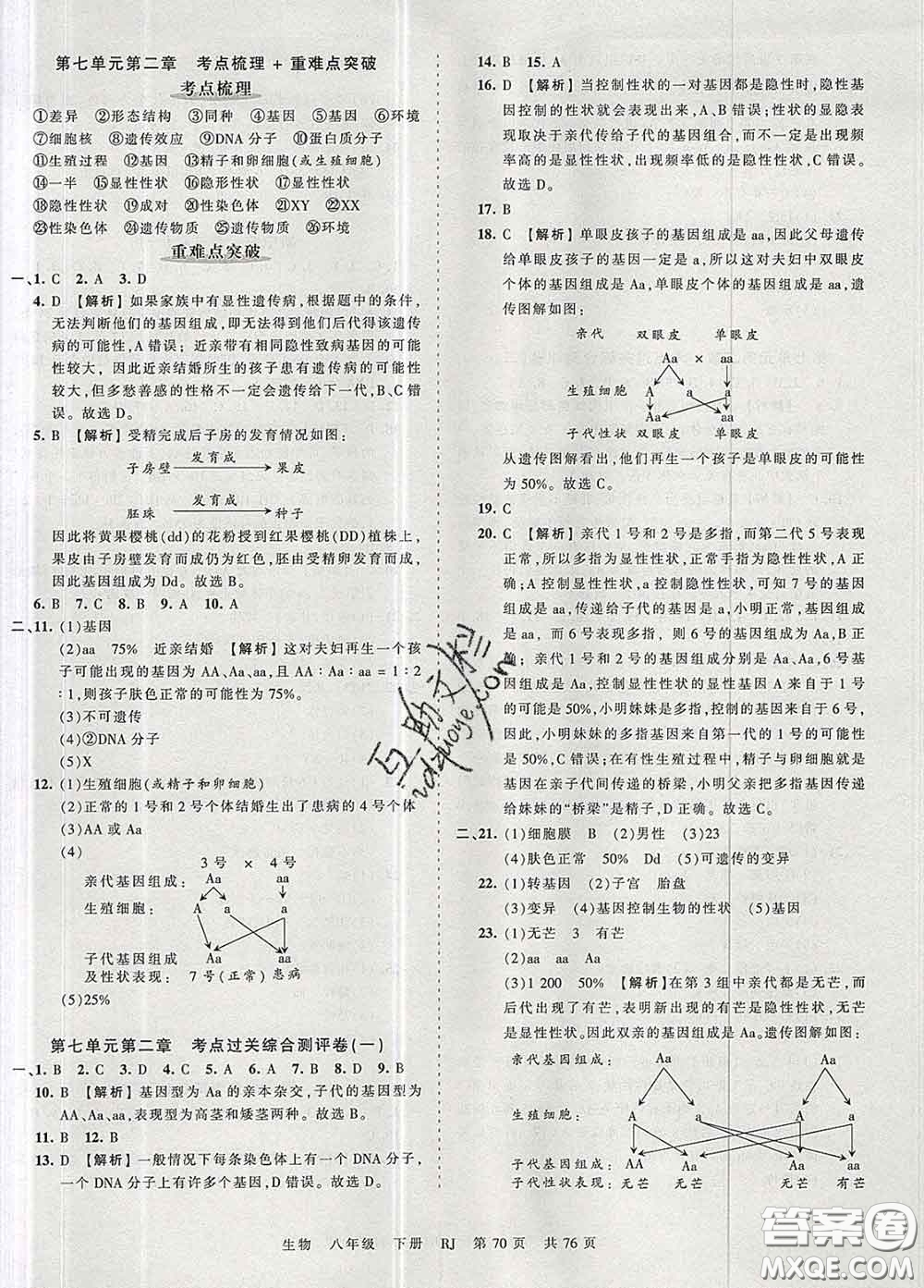 2020新版王朝霞考點梳理時習(xí)卷八年級生物下冊人教版答案