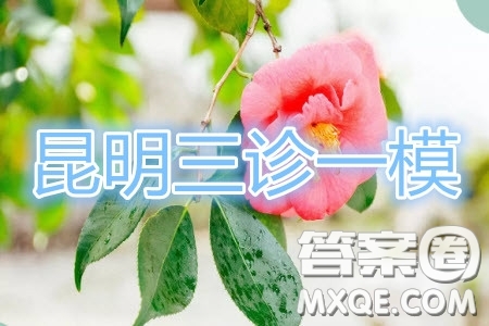 昆明市2020屆三診一模高三復(fù)習(xí)教學(xué)質(zhì)量檢測語文試題及答案