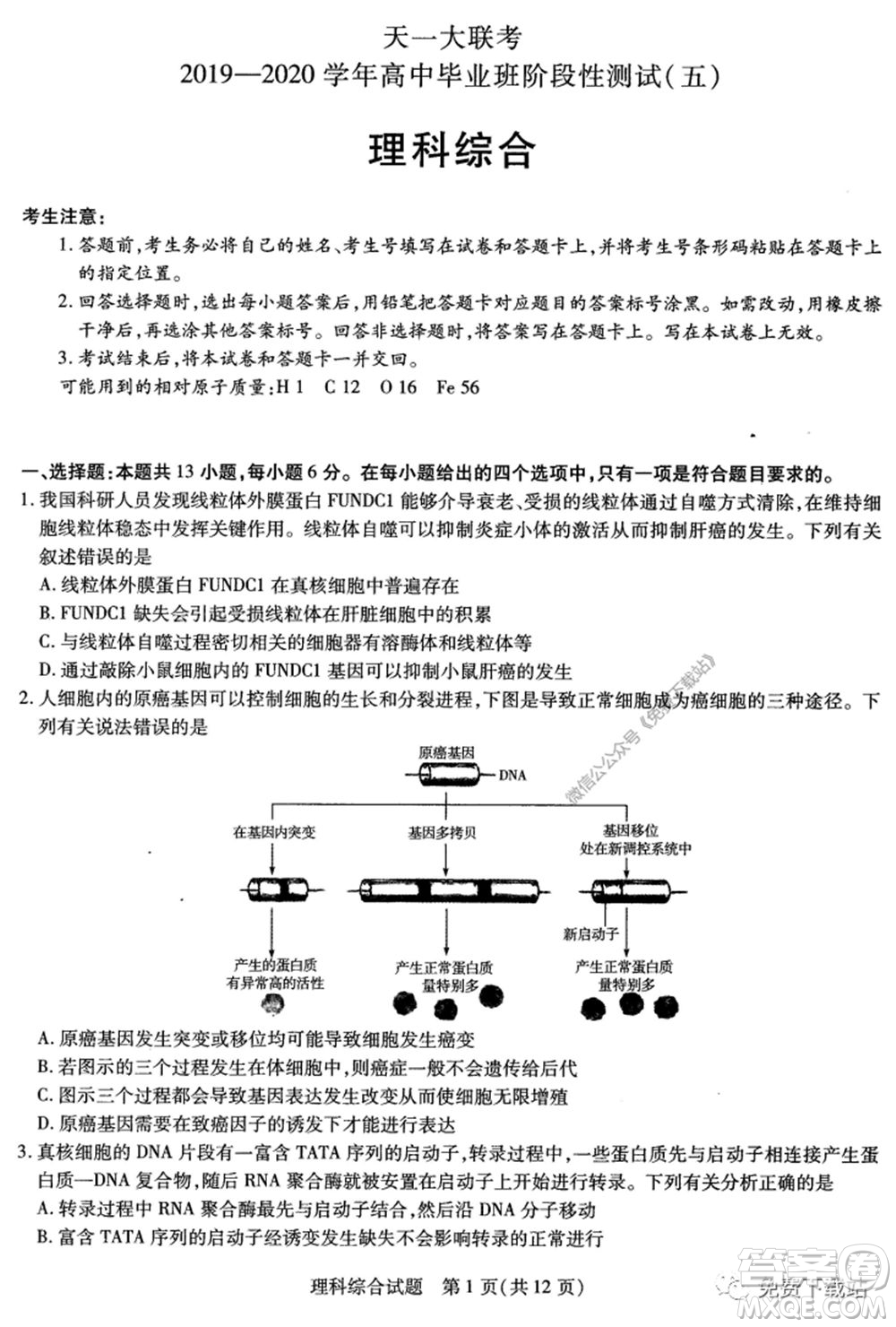 天一大聯(lián)考2019-2020學(xué)年高中畢業(yè)班階段性測(cè)試五理科綜合試題及答案