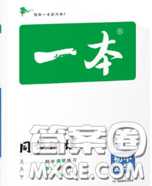 2020新版一本同步訓(xùn)練初中數(shù)學(xué)七年級(jí)下冊人教版答案