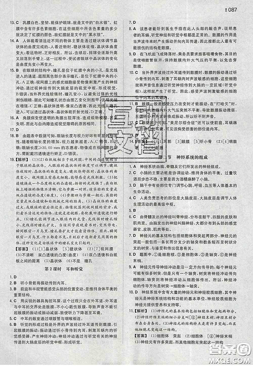 2020新版一本同步訓(xùn)練初中生物七年級下冊人教版答案