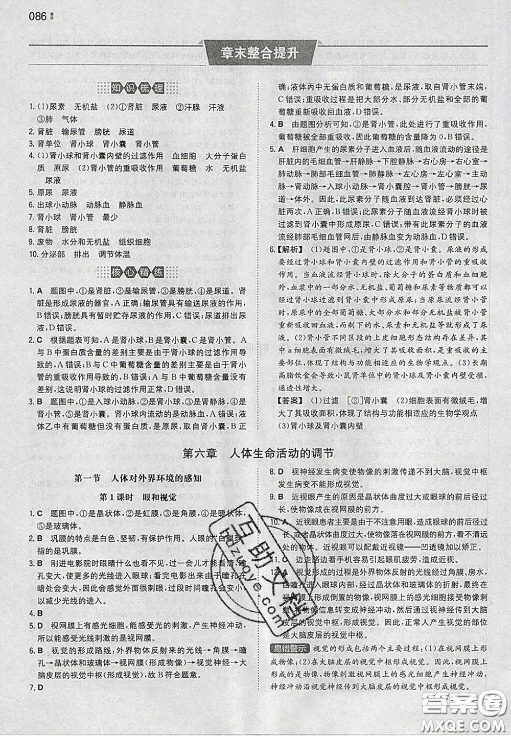 2020新版一本同步訓(xùn)練初中生物七年級下冊人教版答案