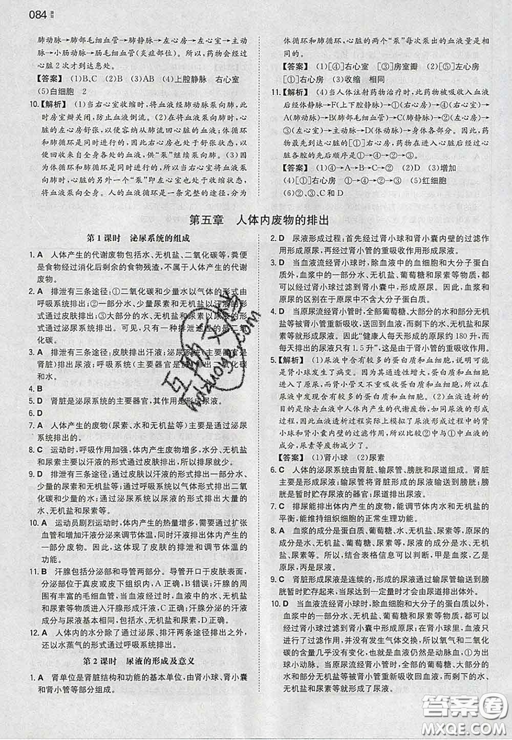 2020新版一本同步訓(xùn)練初中生物七年級下冊人教版答案