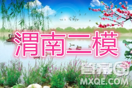 渭南市2020年高三教學質(zhì)量檢測二理科數(shù)學試題及答案