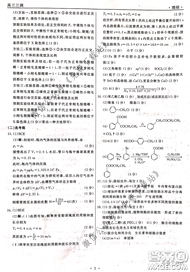 衡中同卷2019-2020學(xué)年度下學(xué)期高三年級三調(diào)考試理綜答案