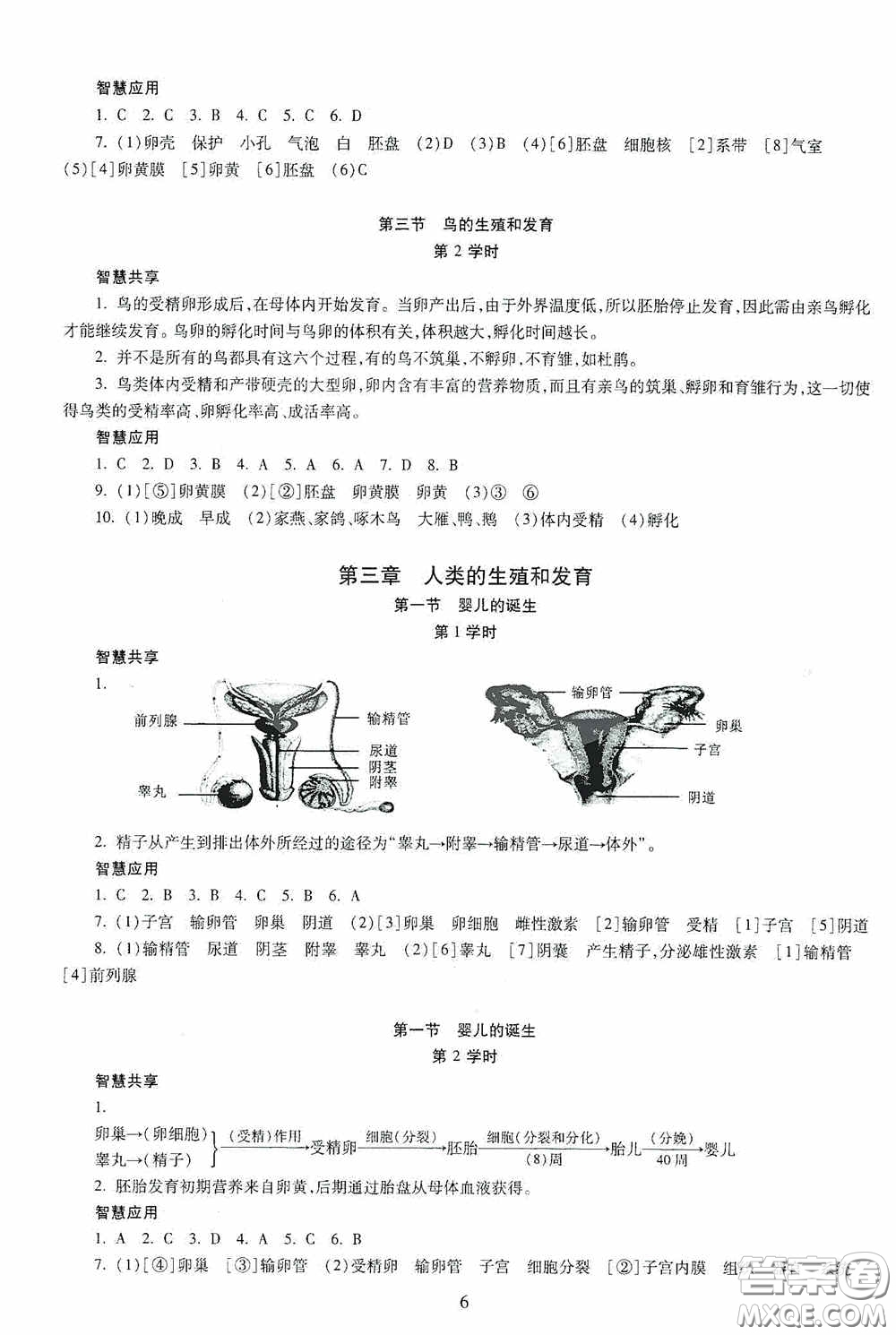 明天出版社2020智慧學習生物學八年級全一冊答案
