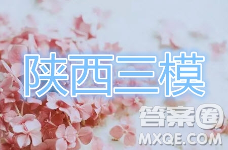 2020年陜西省高三教學(xué)質(zhì)檢監(jiān)測三英語答案