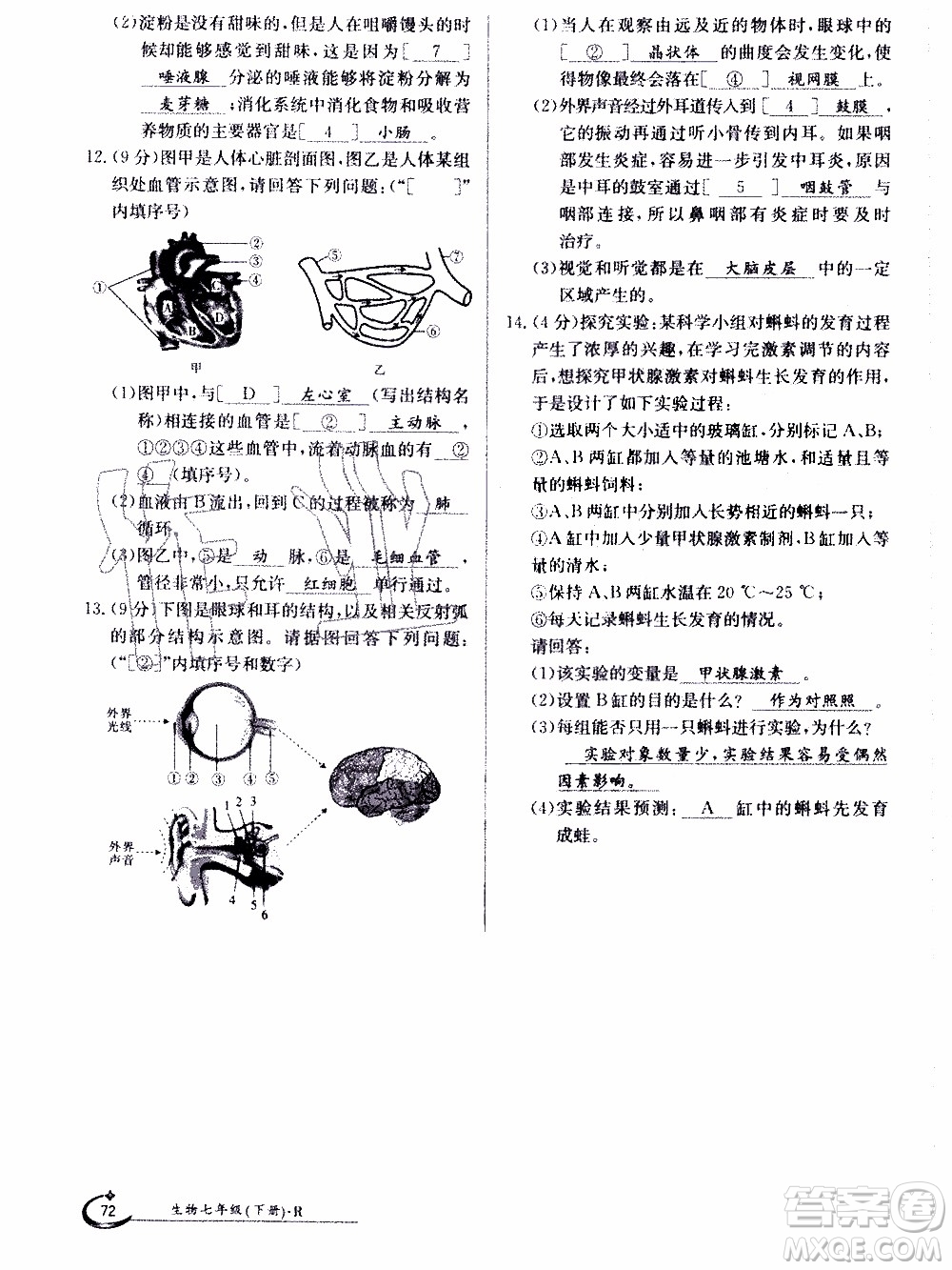 江西高校出版社2020年金太陽導學案生物七年級下冊參考答案