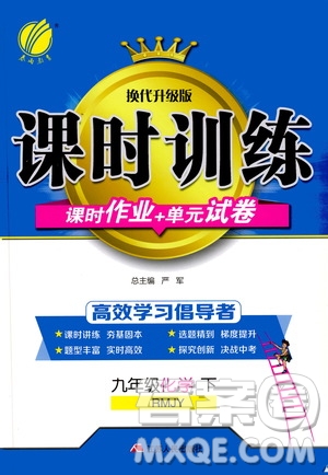 2020年課時訓(xùn)練九年級下冊化學RMJY人民教育版參考答案