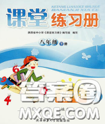 陜西師范大學(xué)出版社2020春課堂練習(xí)冊(cè)八年級(jí)數(shù)學(xué)下冊(cè)A版答案