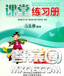 陜西師范大學出版社2020春課堂練習冊八年級物理下冊D版答案