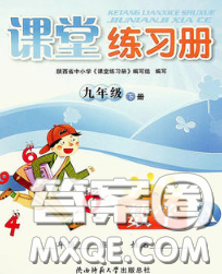 陜西師范大學(xué)出版社2020春課堂練習(xí)冊九年級數(shù)學(xué)下冊A版答案