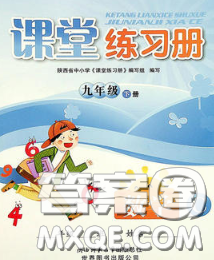 陜西師范大學(xué)出版社2020春課堂練習(xí)冊(cè)九年級(jí)數(shù)學(xué)下冊(cè)C版答案