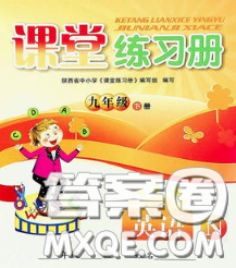 陜西師范大學(xué)出版社2020春課堂練習(xí)冊(cè)九年級(jí)英語(yǔ)下冊(cè)N版答案
