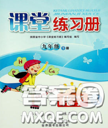 陜西師范大學出版社2020春課堂練習冊九年級化學下冊A版答案