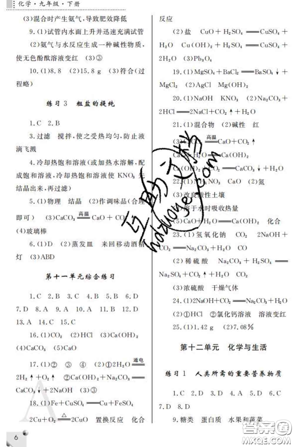 陜西師范大學出版社2020春課堂練習冊九年級化學下冊A版答案