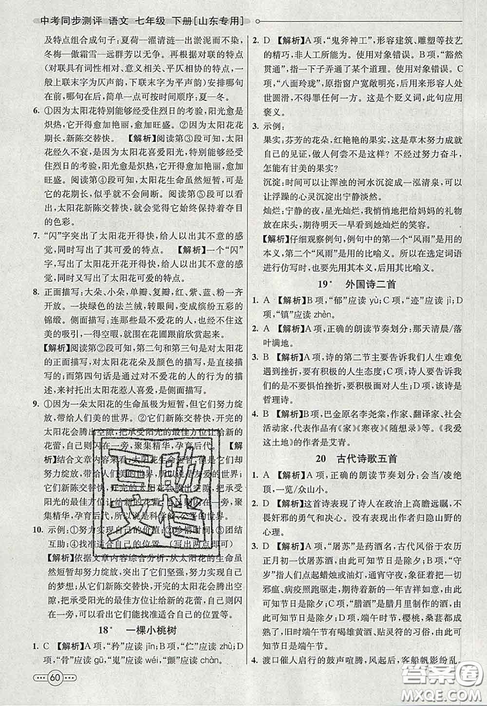 河北教育出版社2020春七彩課堂七年級語文下冊人教版答案