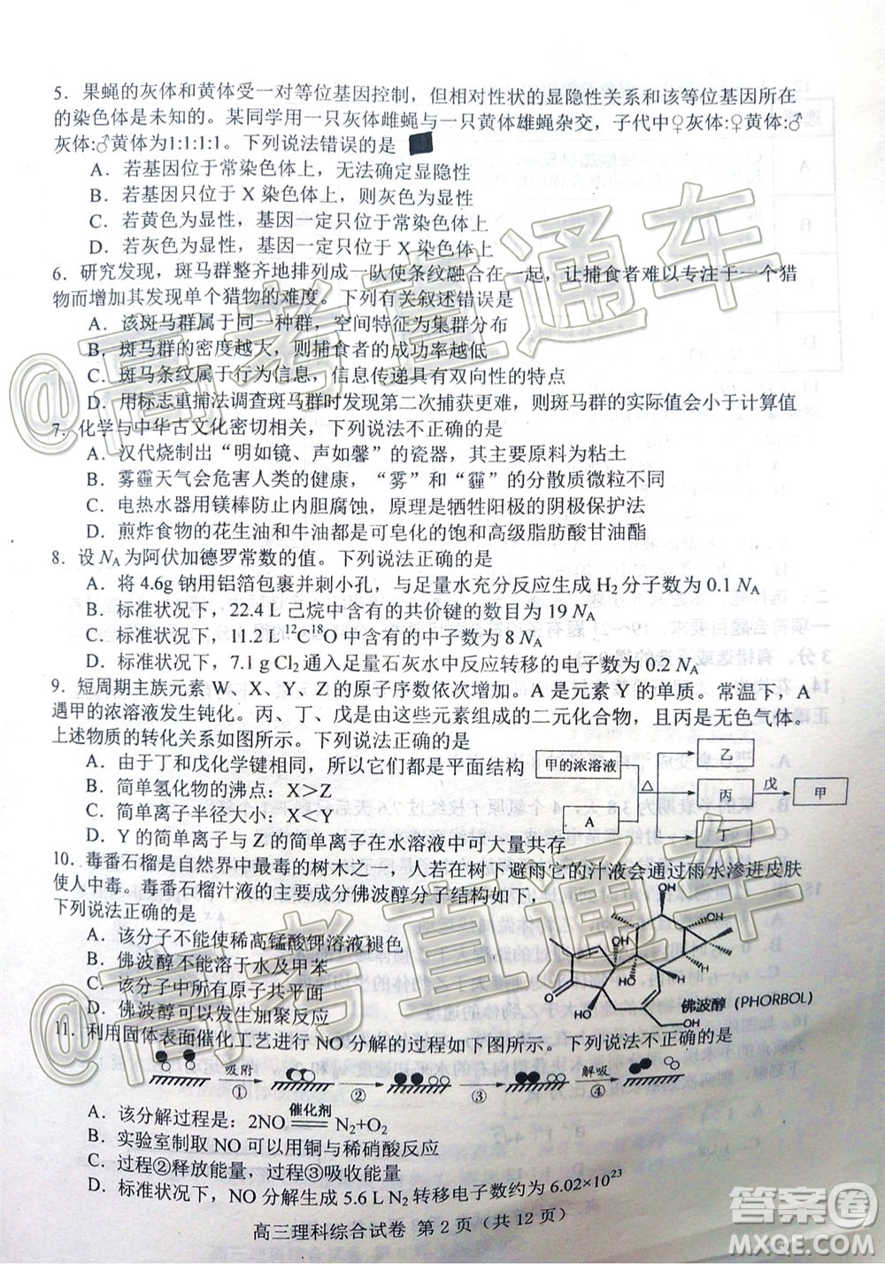 唐山市2019-2020學年度高三年級第一次模擬考試理科綜合試題及答案