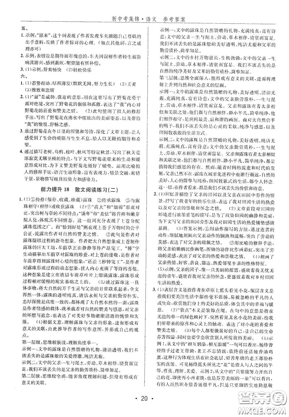 浙江人民出版社2020新中考集錦全程復(fù)習(xí)訓(xùn)練語文B本課后作業(yè)本答案