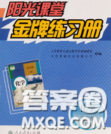 2020新版陽(yáng)光課堂金牌練習(xí)冊(cè)九年級(jí)化學(xué)下冊(cè)人教版答案