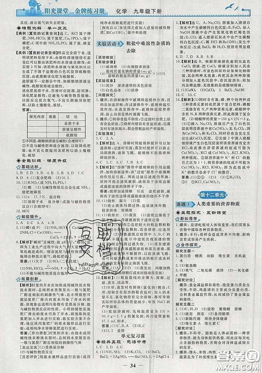 2020新版陽(yáng)光課堂金牌練習(xí)冊(cè)九年級(jí)化學(xué)下冊(cè)人教版答案