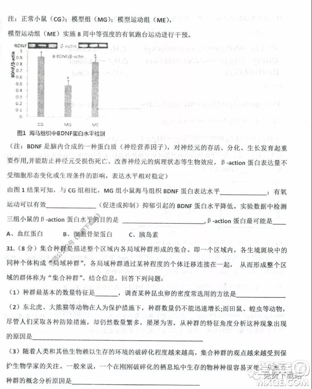 衡水中學(xué)2019-2020學(xué)年度高三年級(jí)下學(xué)期期中考試?yán)砜凭C合試題及答案