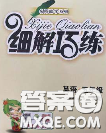 2020春名師助學(xué)系列細(xì)解巧練五年級(jí)英語(yǔ)下冊(cè)人教版答案
