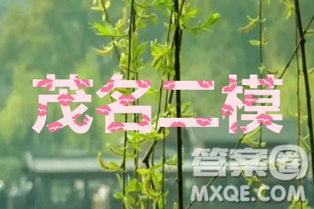 2020年茂名市高三年級第二次綜合測試語文試題及答案