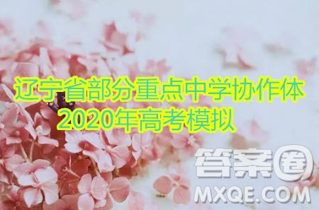 遼寧省部分重點(diǎn)中學(xué)協(xié)作體2020年高考模擬考試?yán)砜茢?shù)學(xué)試題及答案