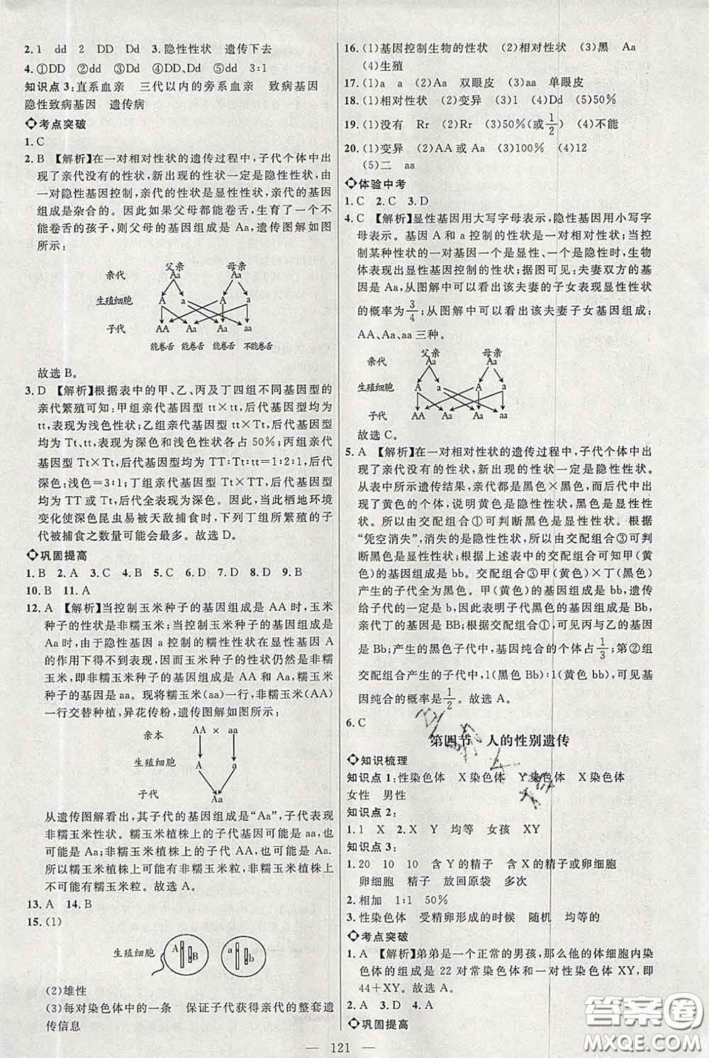 2020春名師助學(xué)系列細(xì)解巧練八年級(jí)生物下冊(cè)人教版答案