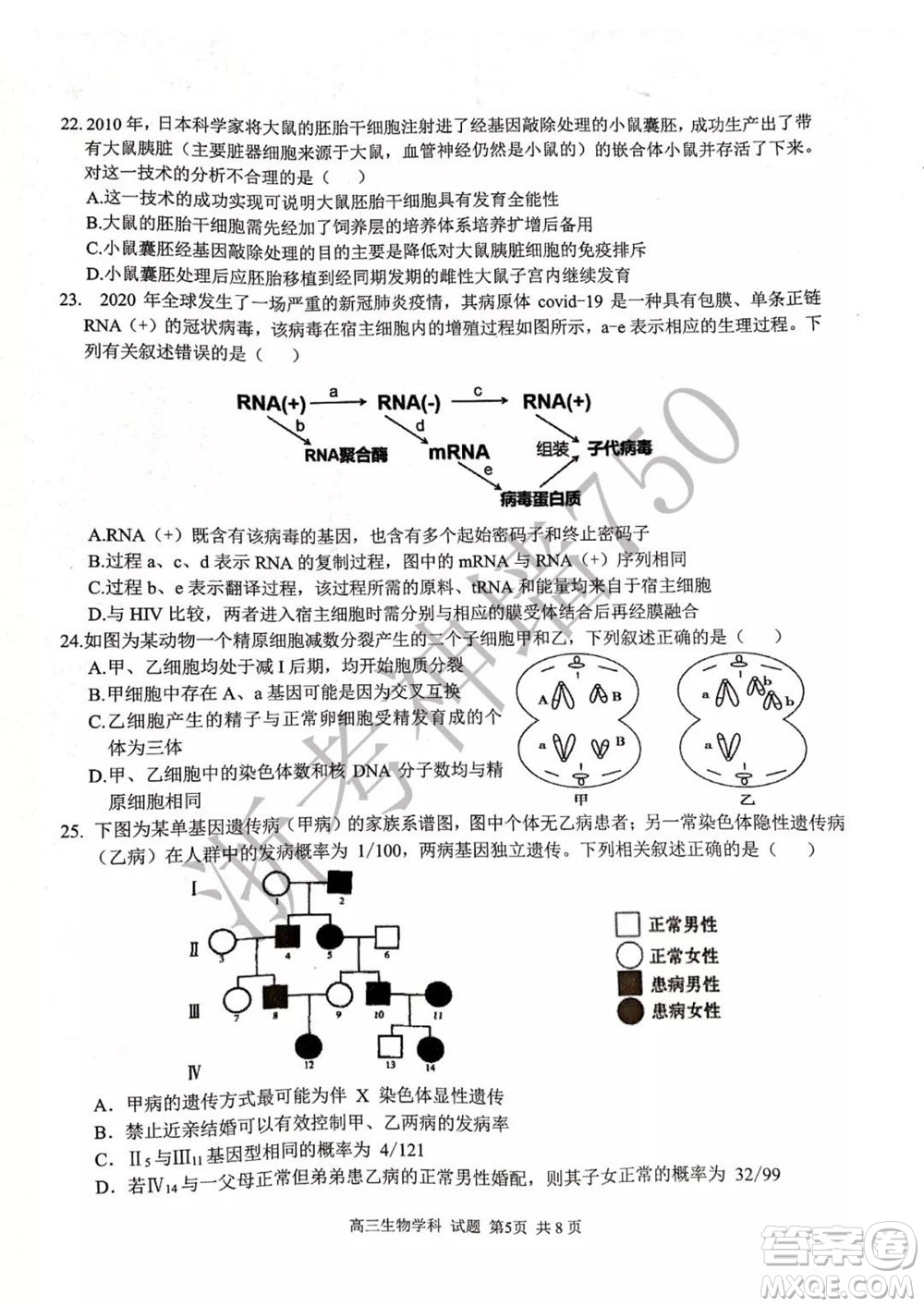 2019學(xué)年第二學(xué)期浙江七彩陽(yáng)光新高考研究聯(lián)盟階段性評(píng)估高三生物試題及答案