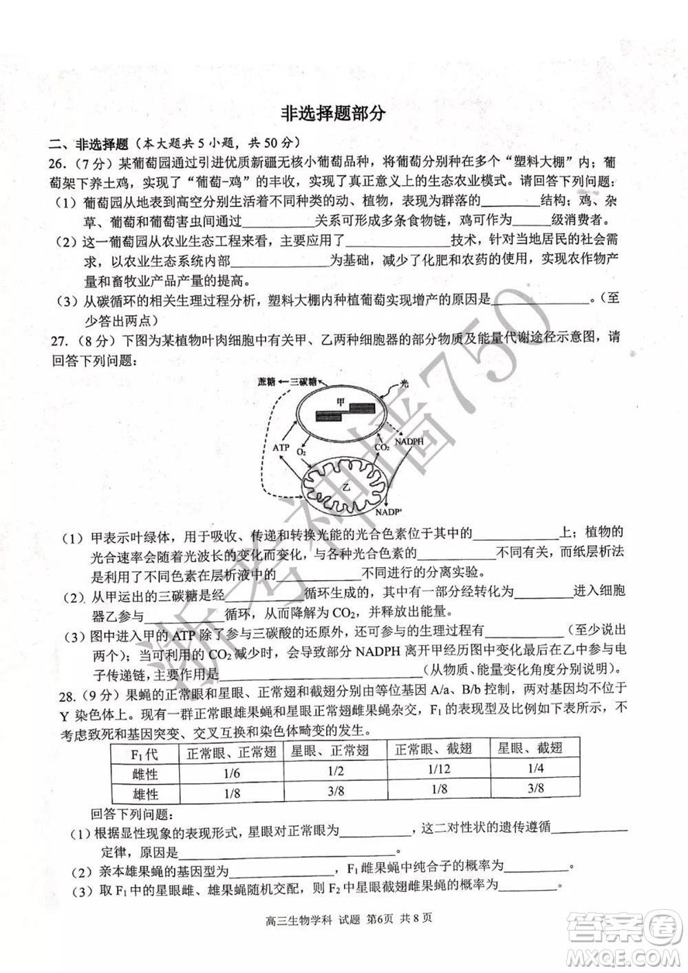 2019學(xué)年第二學(xué)期浙江七彩陽(yáng)光新高考研究聯(lián)盟階段性評(píng)估高三生物試題及答案