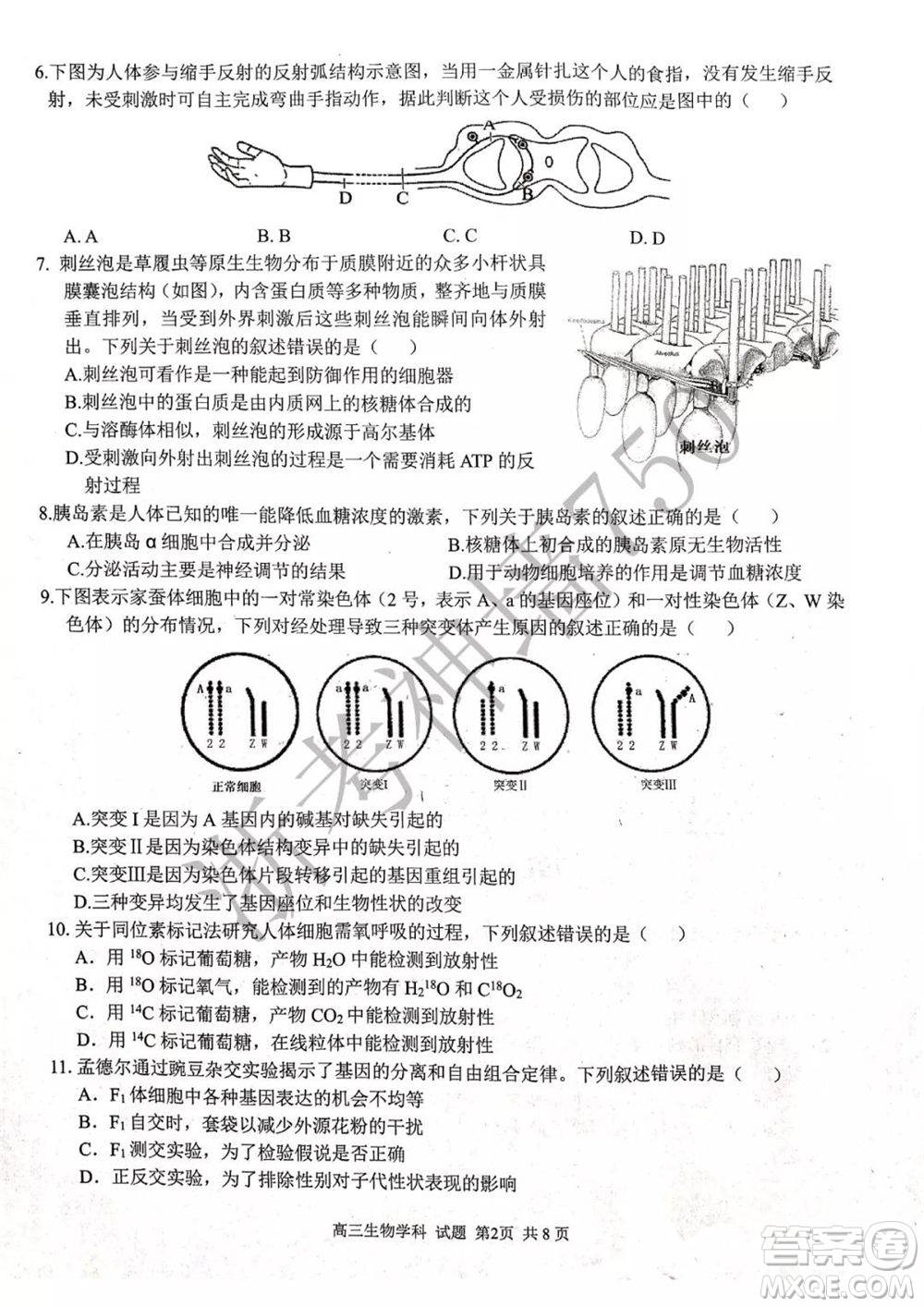 2019學(xué)年第二學(xué)期浙江七彩陽(yáng)光新高考研究聯(lián)盟階段性評(píng)估高三生物試題及答案