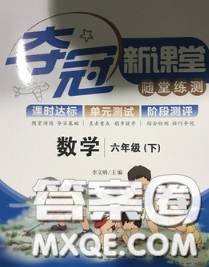 2020新版奪冠新課堂隨堂練測(cè)六年級(jí)數(shù)學(xué)下冊(cè)人教版答案